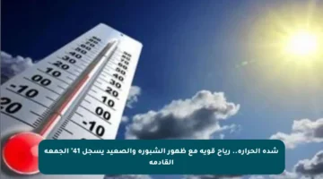 شدة الحرارة.. رياح قوية مع ظهور الشبورة والصعيد يسجل 41° الجمعة القادمة